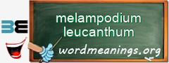 WordMeaning blackboard for melampodium leucanthum